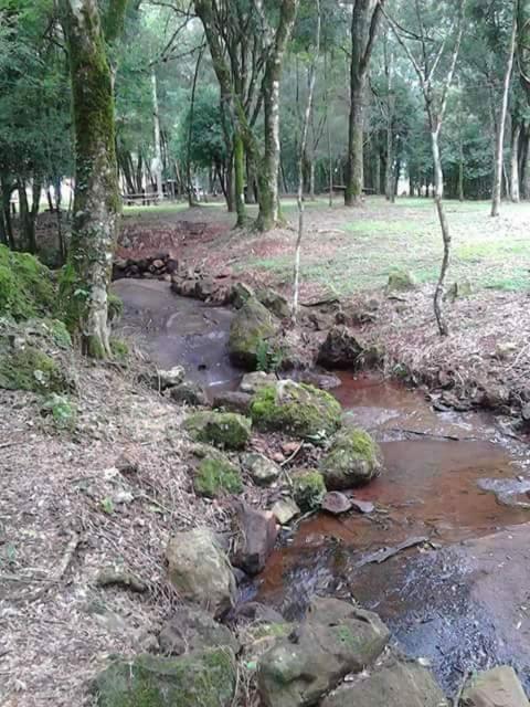 Hôtel Camping Caitano à Campo Grande  Extérieur photo